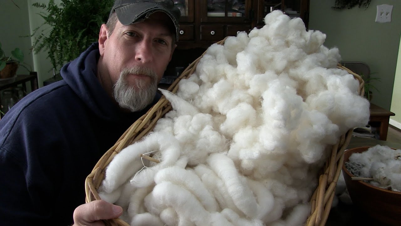 Cotton processing 